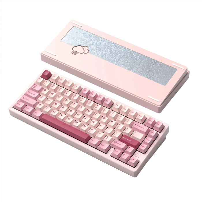 WOBKEY Rainy 75 Pro RGB 75% ANSI Mechanical Keyboard — Computer Orbit WOBKEY Rainy 75 Pro RGB 75% ANSI Mechanical Keyboard — Computer Orbit