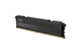 16GB (1x16GB) DDR5 5600MHz CL30 KLEVV FIT V RAM
