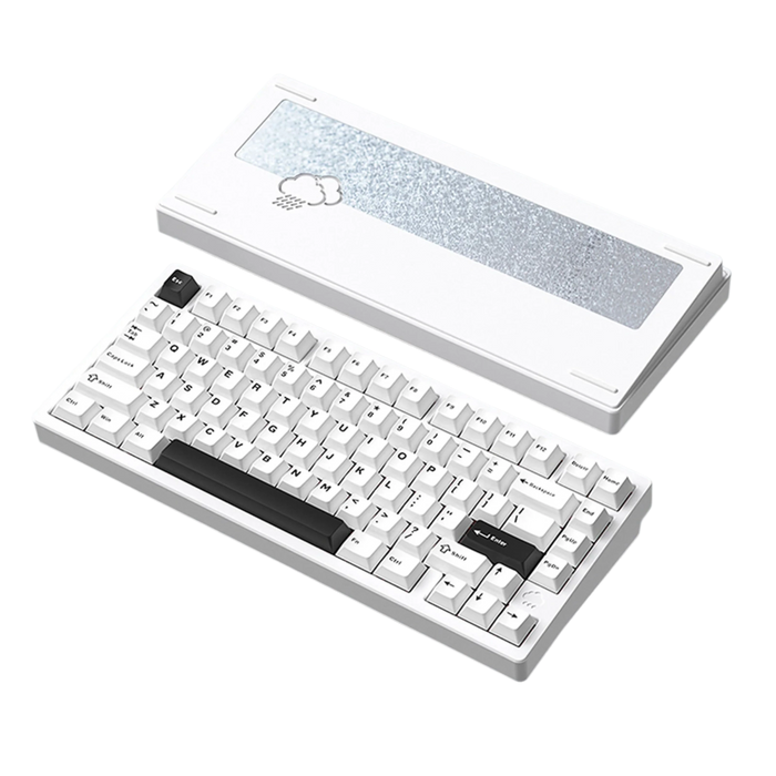 WOBKEY Rainy 75 Pro RGB 75% ANSI Mechanical Keyboard — Computer Orbit WOBKEY Rainy 75 Pro RGB 75% ANSI Mechanical Keyboard — Computer Orbit
