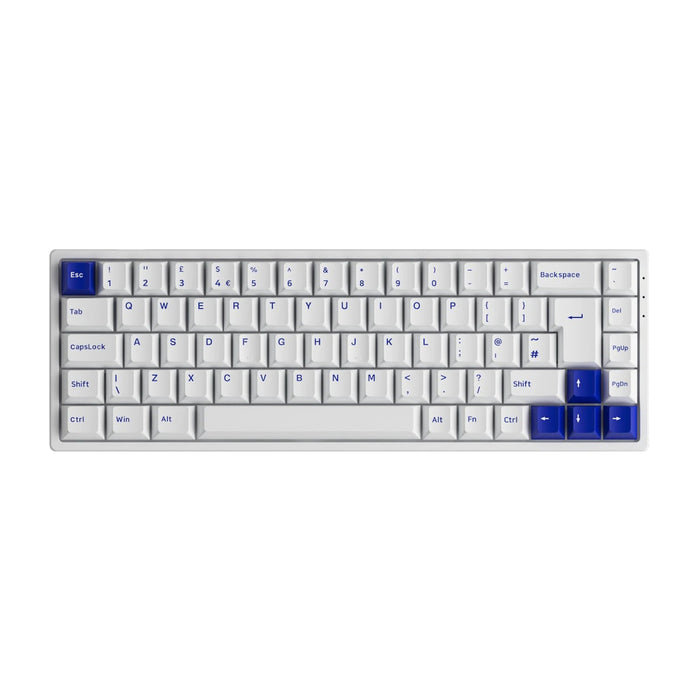 Akko 3068B Plus White&Blue RGB 65% ISO UK CS Jelly Purple